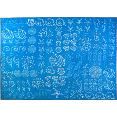 Shell Collector Rug Collection