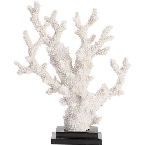 Coral Statue