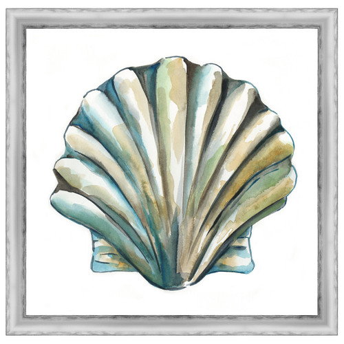 Aquarelle Shells IV Framed Print