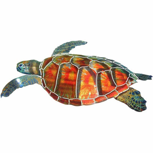 Belize Reef Turtle Wall Art