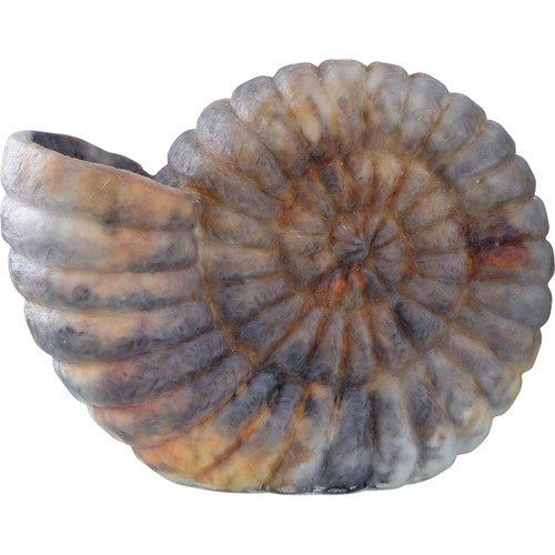 Moon Shell Nightlight