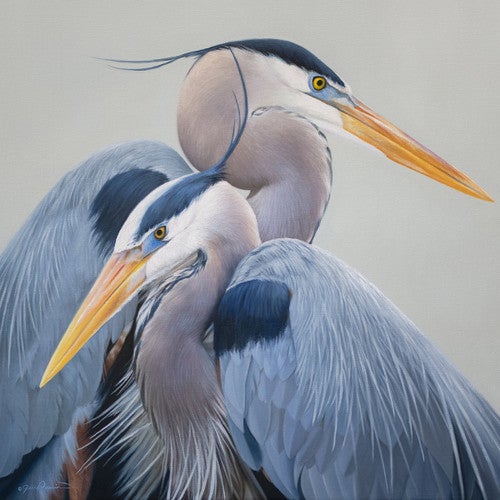 Harmony Limited Edition Print