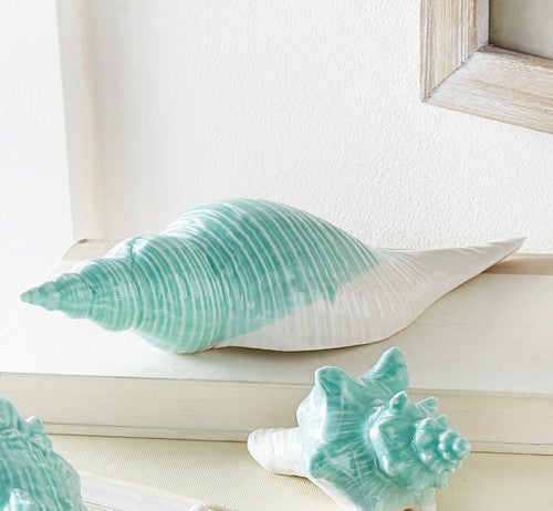 Montego Bay Tulip Shell Figurine
