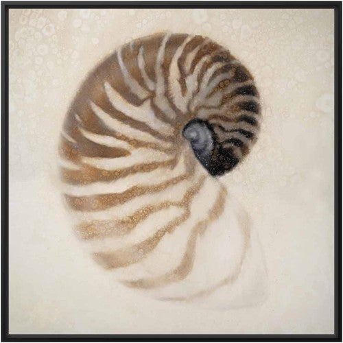 Nautilus Canvas Print