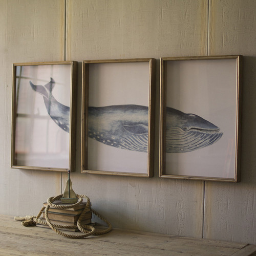 Big Blue Whale Framed Prints - Set of 3