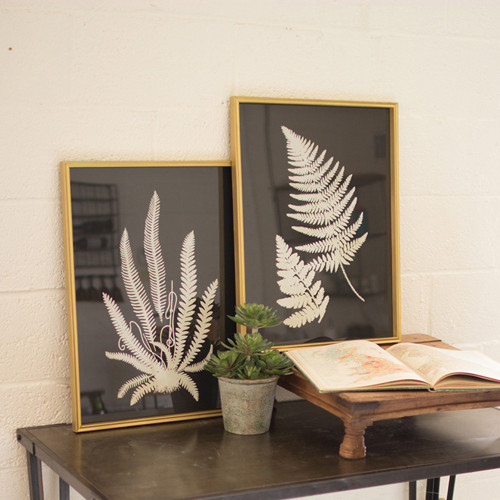 Black and White Fern Framed Prints - Set of 2