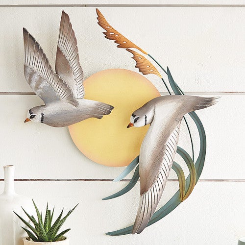 Piping Plover Seabird Circle Wall Art