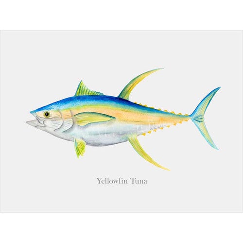 Yellowfin Profile Canvas Wall Art