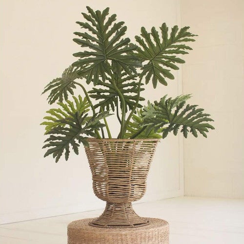 Samoan Seas Seagrass Planter