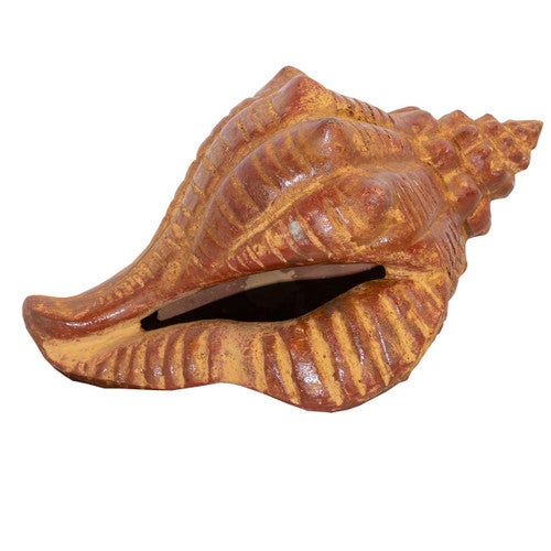 Shoreline Shell Sculpture