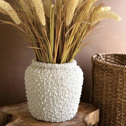 Sea Barnacles Pot