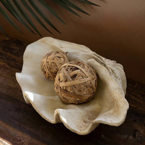 West Indies Clam Shell Sculpture