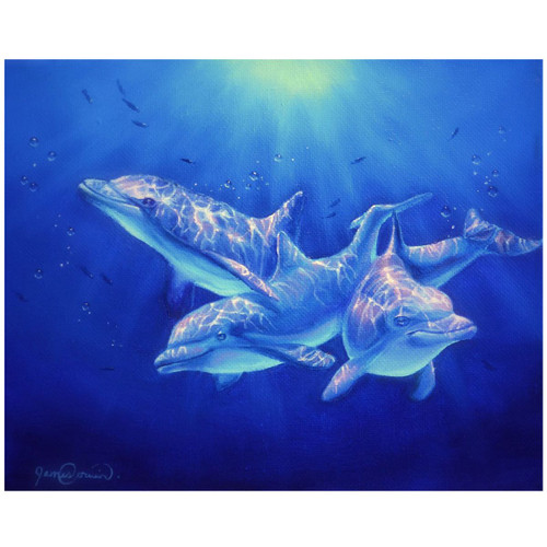 Dolphin Magic 16 x 20 Limited Edition Print