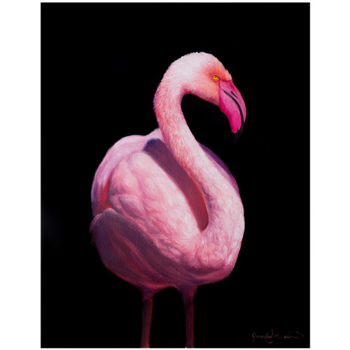 Flamingo 5 Print
