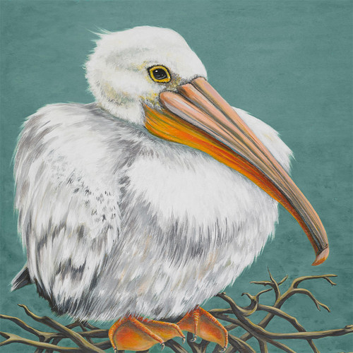 Pelican Nestling Canvas Art
