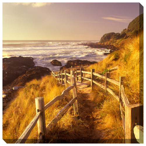 Pathway to Beach Indoor/Outdoor Canvas Art