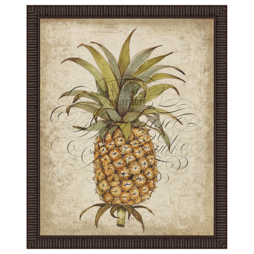 Pineapple Study II Framed Print