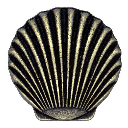 Scallop Shell Knobs - Set of 2