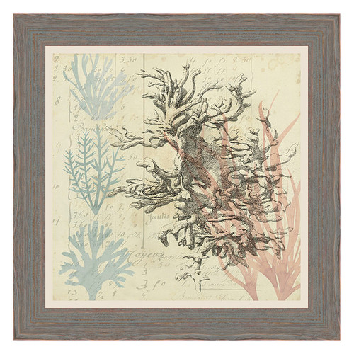 Sea Ephemera IV Framed Print