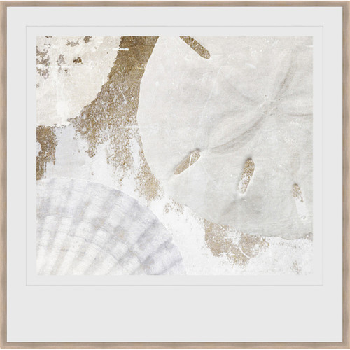 Seashell Medley Framed Print