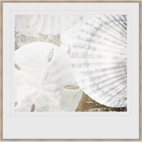Seashell Medley II Framed Print