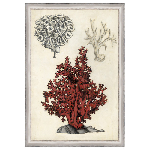 Seashore Field Notes V Framed Print