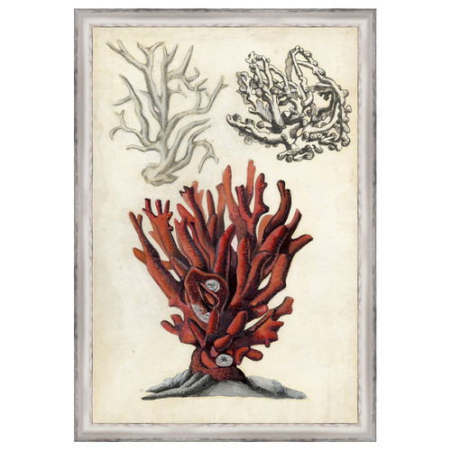 Seashore Field Notes VI Framed Print