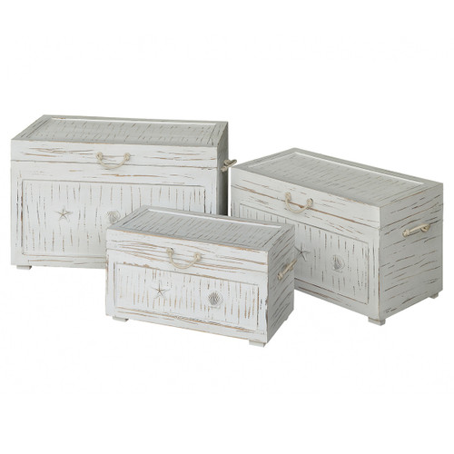 Seaside White Shell Trunks - Set of 3