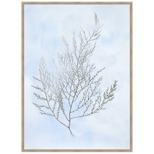 Silver Foil Algae II on Blue Framed Print