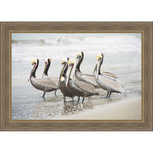 Six Shorebirds Framed Canvas