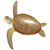 Swimming Solo Turtle Wall Art