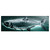 Tarpon Backlit Wall Decor - OUT OF STOCK UNTIL 04/11/2025