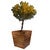 Teak Planter Box - Large