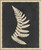 Tropic Fern II Framed Wall Art