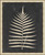 Tropic Fern III Framed Wall Art