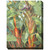 Tropical Flora II Outdoor Canvas Art