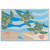 Turtle Trio Indoor/Outdoor Rug