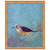 Vibrant Shorebird I Framed Print