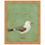 Vibrant Shorebird II Framed Print