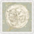 Vintage Sand Dollar I Wall Art