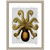 Vintage Yellow Octopus Underside Framed Print