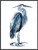 Wading Heron Framed Canvas