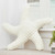 White 3-D Starfish Pillow