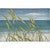 Sea View Chenille Rug - 2 x 3