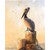 Pelican Perch Personalized Block Mount - 16 x 20