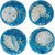 Pacific Rim Dinner Plates - Set of 4