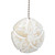 Sand Dollar Fan Pull