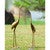 Cranes Looking Upward Garden Statuary