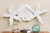 Antique Sand Dollar and Starfish Wall Hanging