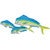 Mahi-mahi Family Wall Art